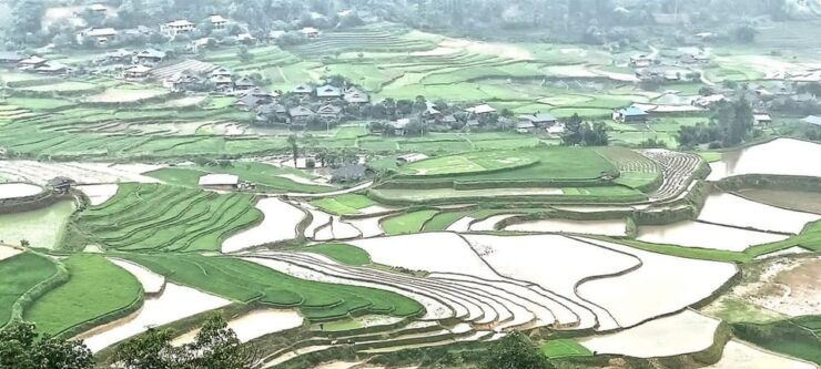 From Sapa - 1 Day Trek : Discovery the Real Life of Local . - Itinerary and Activities