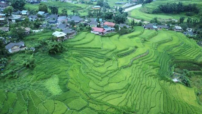 From Sapa - 1 Day Trek : Discovery the Real Life of Local . - Preparation and Requirements