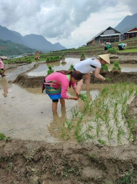 From Sapa - 1 Day Trek : Discovery the Real Life of Local . - Booking Information