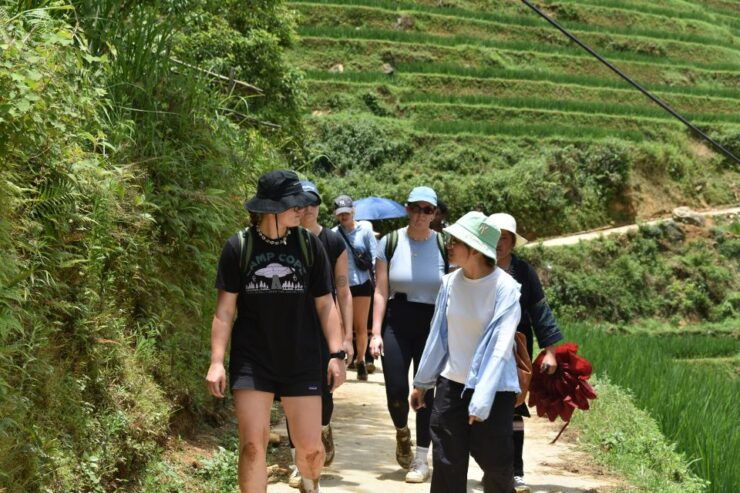 From Sapa: 1-Day Trekking Through Terraces Rice Fields - Experience