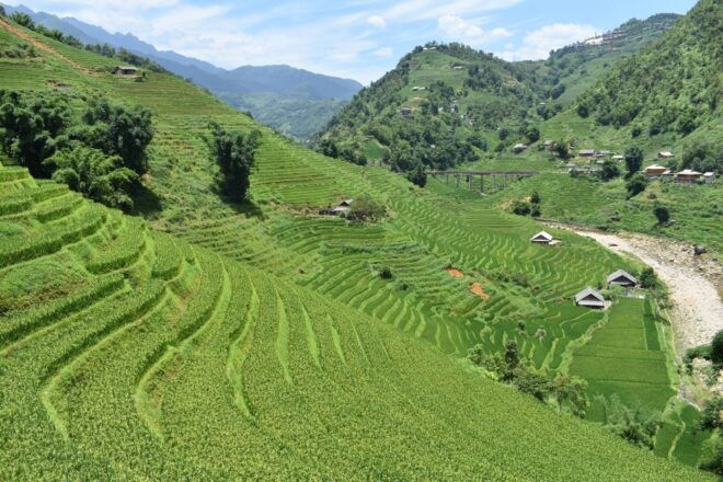 From Sapa: 1-Day Trekking Through Terraces Rice Fields - Inclusions