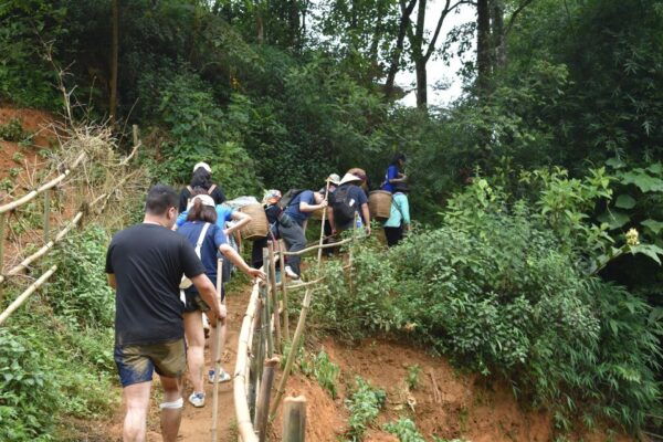 From Sapa: 1-Day Trekking Through Terraces Rice Fields - Directions
