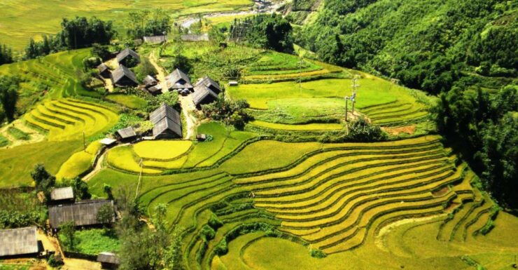 From Sapa: 1 Day Trekking to Terrace Field and Local Village - Experience