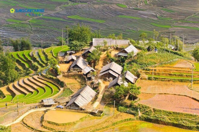 From Sapa: 1 Day Trekking to Terrace Field and Local Village - Full Description