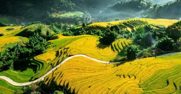 From Sapa: 1 Day Trekking to Terrace Field and Local Village - Directions
