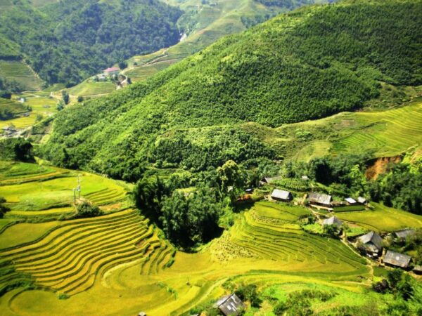 From Sapa: 1 Day Trekking to Terrace Field and Local Village - The Sum Up