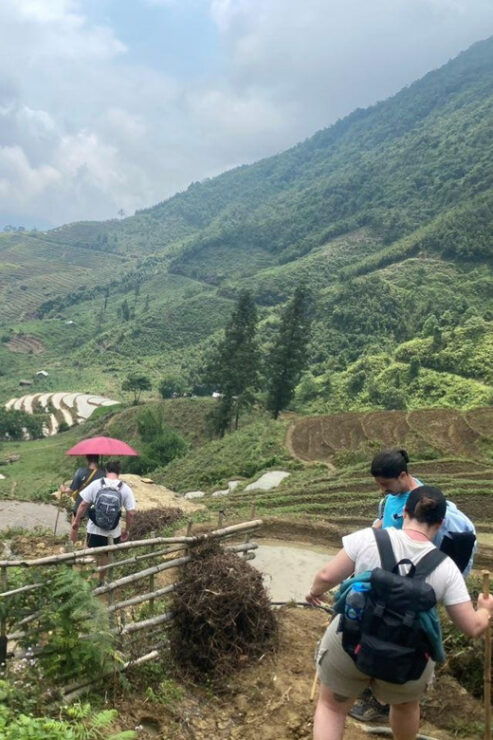 From Sapa - 1D Trek: Walk Through Bamboo Forest With Lunch - Good To Know