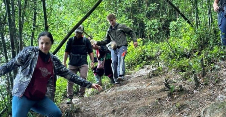 From Sapa - 1D Trek: Walk Through Bamboo Forest With Lunch - Detailed Itinerary