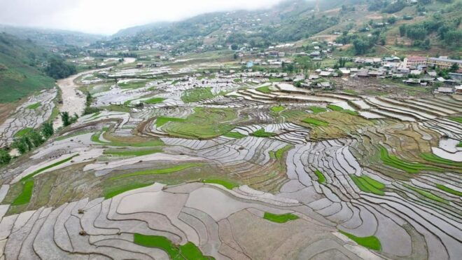 From Sapa - 1D Trek: Walk Through Bamboo Forest With Lunch - Trek Highlights