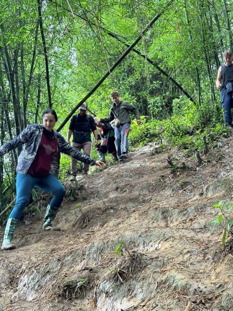 From Sapa - 1D Trek: Walk Through Bamboo Forest With Lunch - Participant Guidelines