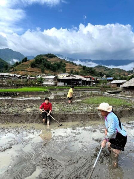 From Sapa - 1D Trek: Walk Through Bamboo Forest With Lunch - Cultural Experiences