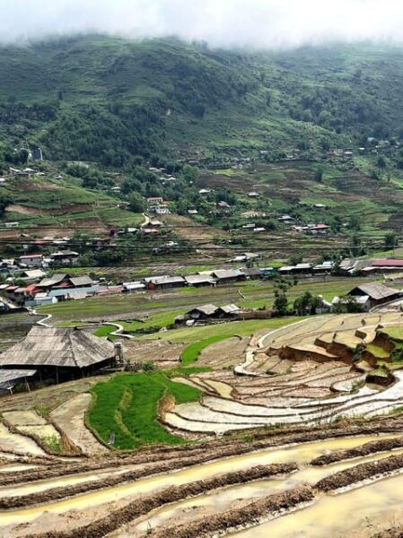 From Sapa - 1D Trek: Walk Through Bamboo Forest With Lunch - Booking and Cancellation Policy