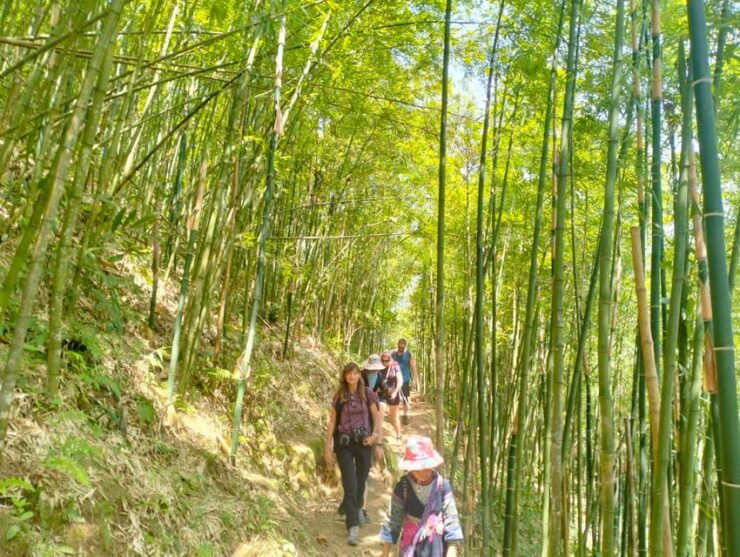 From Sapa 2-Day Sapa Trekking Trip With Homestay & Meals - Good To Know