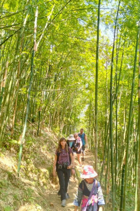 From Sapa 2-Day Sapa Trekking Trip With Homestay & Meals - Detailed Itinerary