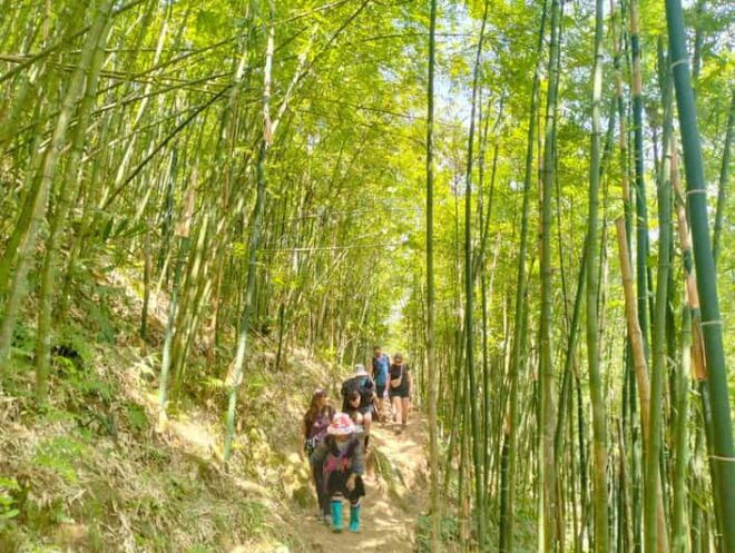 From Sapa 2-Day Sapa Trekking Trip With Homestay & Meals - Transportation Details