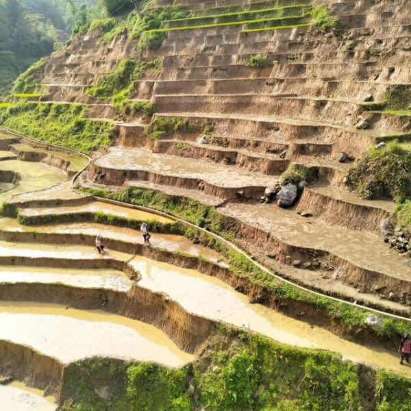 From Sapa 2-Day Sapa Trekking Trip With Homestay & Meals - Local Insights and Tips