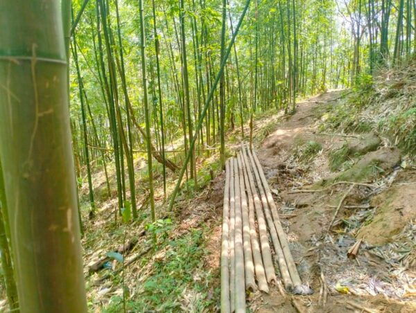 From Sapa 2-Day Sapa Trekking Trip With Homestay & Meals - Frequently Asked Questions