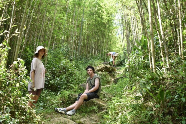 From Sapa: 2D1N Sapa Trekking Tour With Local Expert - Tour Overview