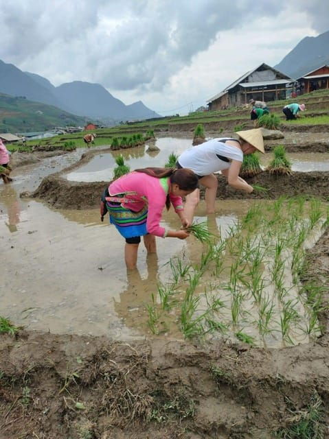 From Sapa: a Wonderful 2 Day 1 Night Trek With a Homestay - Day 2 Highlights