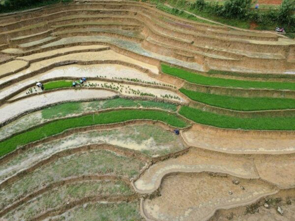 From Sapa: a Wonderful 2 Day 1 Night Trek With a Homestay - Important Considerations