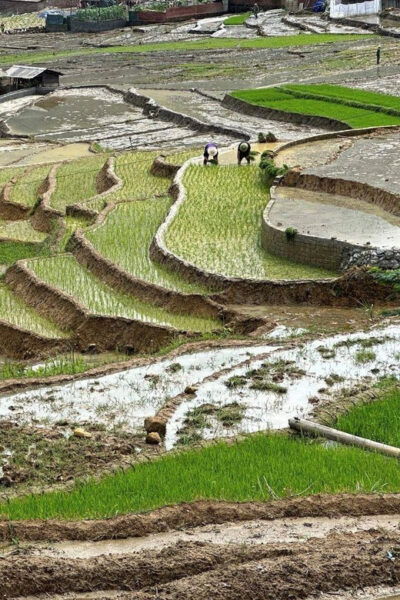 From Sapa: a Wonderful 2 Day 1 Night Trek With a Homestay - Packing Recommendations