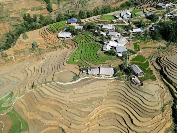 From Sapa: a Wonderful 2 Day 1 Night Trek With a Homestay - Frequently Asked Questions