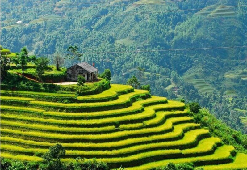 From Sapa: Full-Day Trekking Tour Lao Chai & Ta Van Villages - Authentic Encounters and Scenic Highlights