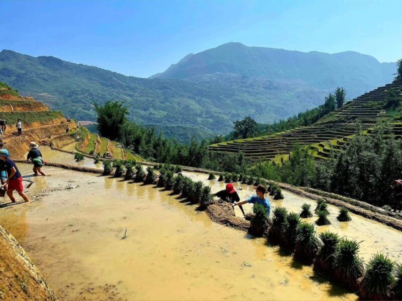 From Sapa: Full-Day Trekking Tour Lao Chai & Ta Van Villages - FAQ