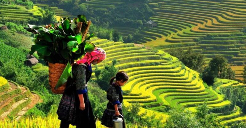 From Sapa: Full-Day Trekking Tour Lao Chai & Ta Van Villages - Good To Know