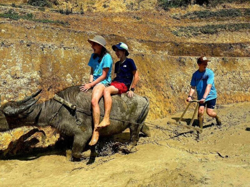 From Sapa: Full-Day Trekking Tour Lao Chai & Ta Van Villages - Authentic Encounters and What Travelers Say