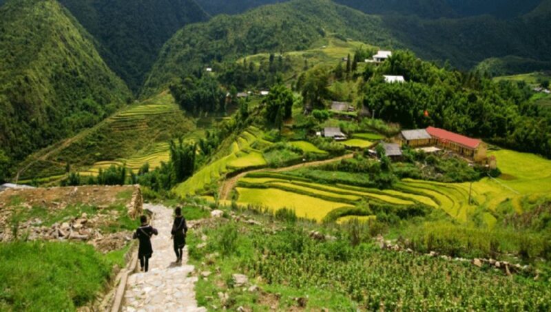 From Sapa: Full-Day Trekking Tour Lao Chai & Ta Van Villages - FAQ