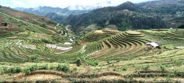 From Sapa: Lu Khau and Xa Xeng Villages 1 Day Private Tour - Booking and Cancellation Policy