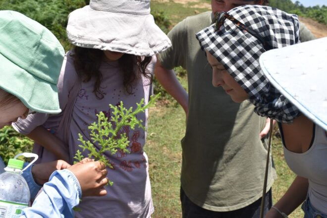 From Sapa: Muong Hoa Valley View & Village Trek 1-Day - Additional Information