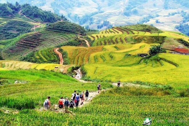 FROM SAPA: SAPA 2 DAYS 1 NIGHT (TA VAN FAMILY HOMESTAY) - Accommodations and Homestay