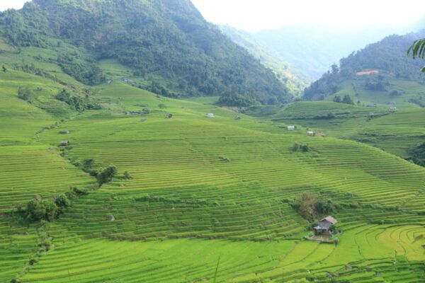 From Sapa: Sapa Full Day Trekking With Lunch - Booking Process