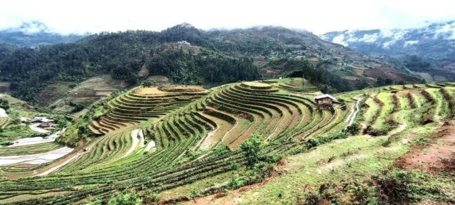 From Sapa: Suoi Ho, Lu Khau and Xa Xeng Villages 1 Day Trek - Itinerary Highlights