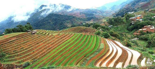 From Sapa: Suoi Ho, Lu Khau and Xa Xeng Villages 1 Day Trek - Customer Feedback