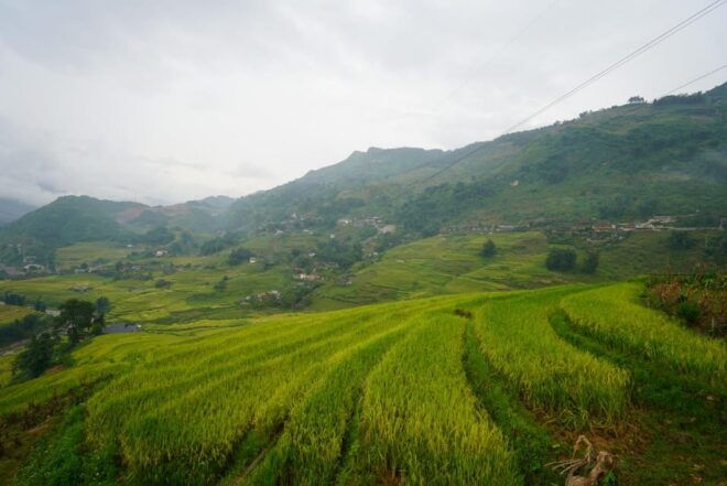 From Sapa to Y Linh Ho/Lao Chai/Ta Van/Ban Ho by Motorbike - Cultural Insights