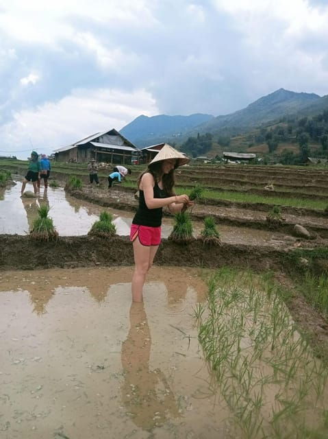 From Sapa: Trek 2 Day - Rice Terrace - Homestay in Ta Van - Good To Know