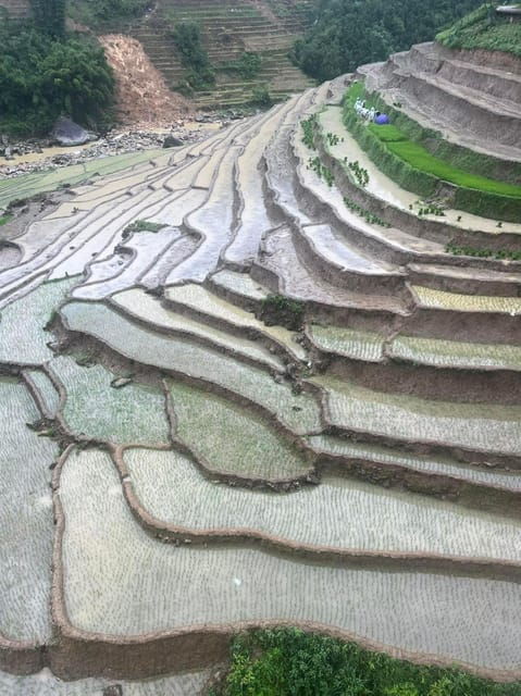 From Sapa: Trek 2 Day - Rice Terrace - Homestay in Ta Van - Day 1 Highlights