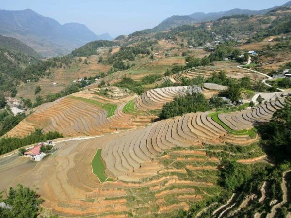 From Sapa: Trek 2 Day - Rice Terrace - Homestay in Ta Van - Excluded Services