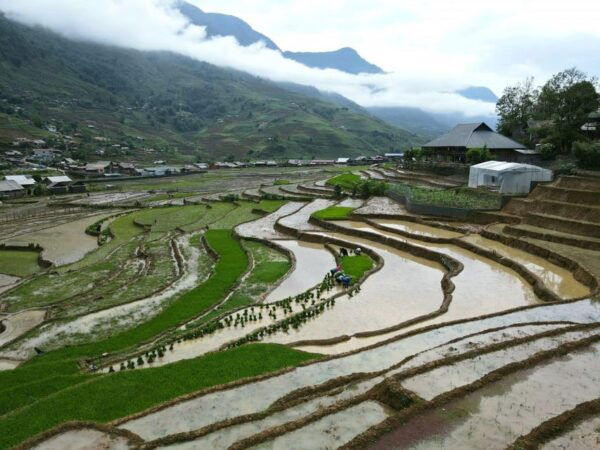 From Sapa: Trek 2 Day - Rice Terrace - Homestay in Ta Van - Pickup Instructions