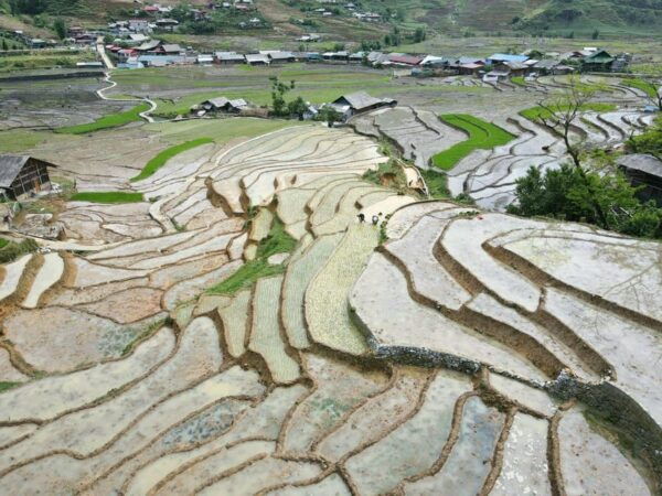 From Sapa: Trek 2 Day - Rice Terrace - Homestay in Ta Van - What to Expect