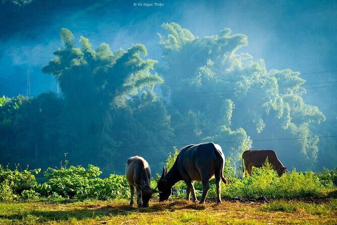 From Sapa: Trek through Stunning Rice Terraces, Ethnic Villages - Practical Details and What It Means for You