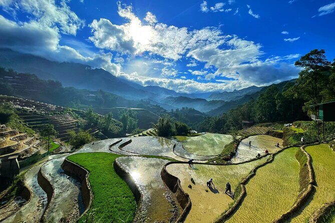 From Sapa: Trek through Stunning Rice Terraces, Ethnic Villages - Transportation and Group Size