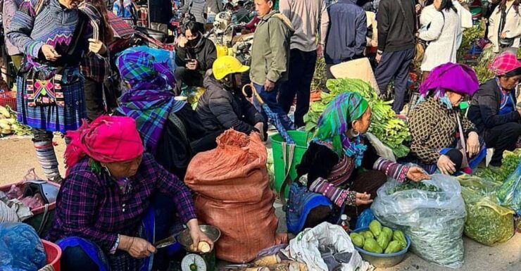 From Sapa: Visit Bac Ha Market - 1D Trip - Lunch & Bus - Experience Bac Ha Market