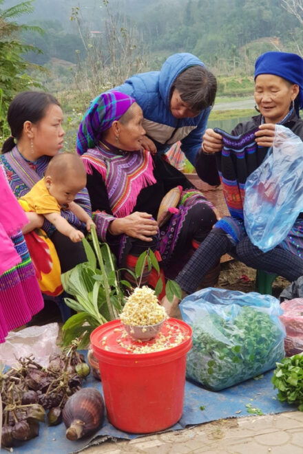 From Sapa: Visit Bac Ha Market - 1D Trip - Lunch & Bus - Itinerary Details