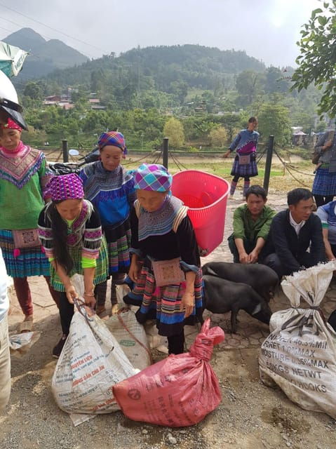 From Sapa: Visit Bac Ha Market - 1D Trip - Lunch & Bus - Customer Experiences