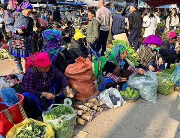 From Sapa: Visit Bac Ha Market - 1D Trip - Lunch & Bus - What to Expect