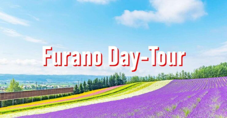 From Sapporo: 10-hour Customized Private Tour to Furano - Experiences and Attractions